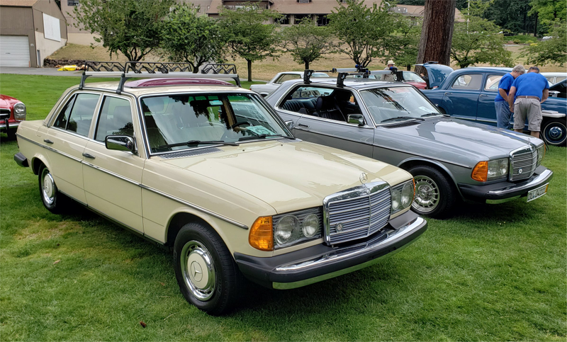 Illustration for article titled 2019 MBCA Seattle Regional Show & Shine (pic heavy)